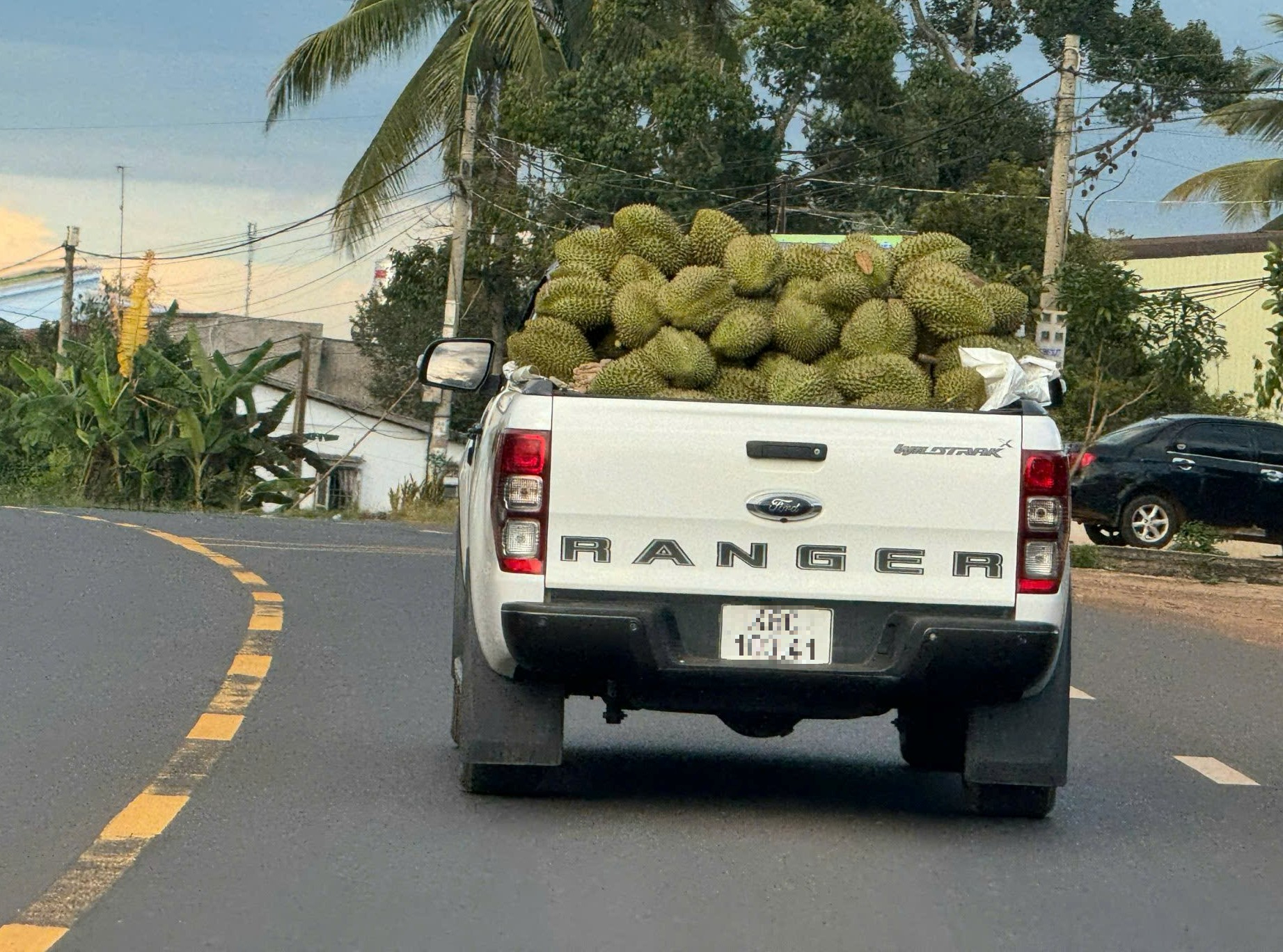 Giá nông sản tăng cao, nông dân sắm ô tô… chuyện dễ! - Ảnh 2