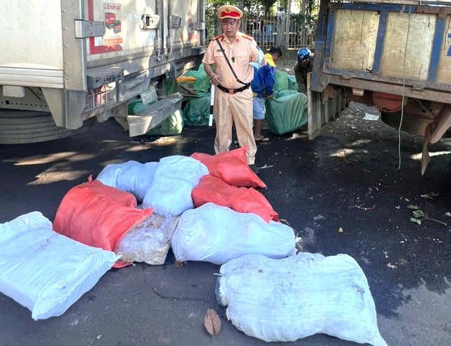 Kinh hãi phát hiện heo chết, nội tạng hôi thối chuẩn bị lên bàn nhậu - Ảnh 3