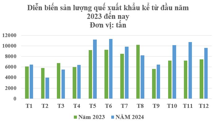 Sản vật trời ban cho Việt Nam là loài cây gỗ quý hiếm của thế giới: Từ thân đến lá đều hái ra tiền, thu về 274 triệu USD trong năm 2024 - Ảnh 2