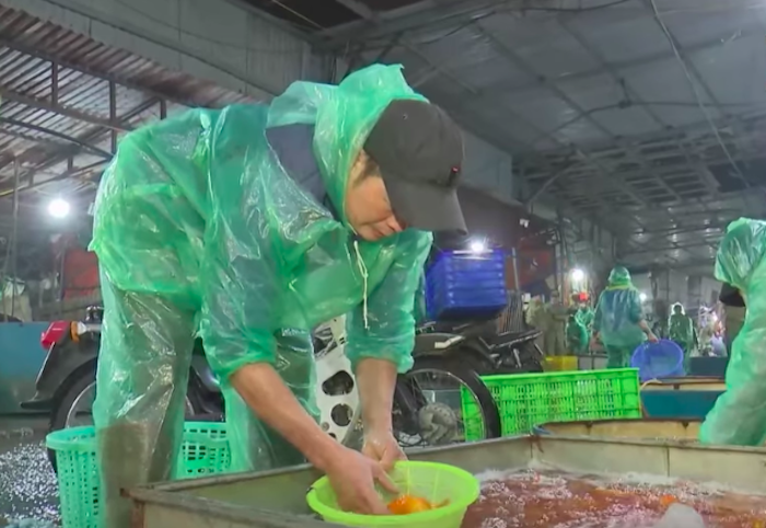 Cá chép cúng ông Công, ông Táo "tràn ngập" chợ, tiểu thương lo ế - Ảnh 1