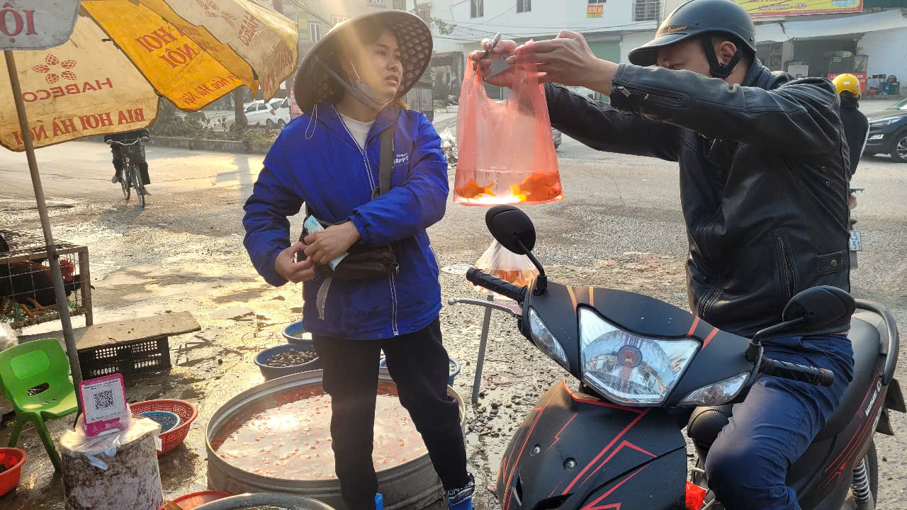 Cá chép cúng ông Công, ông Táo "tràn ngập" chợ, tiểu thương lo ế - Ảnh 2