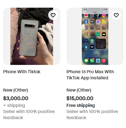 iPhone cài sẵn TikTok trở thành "hàng độc", có người rao bán tới 50.000 USD - Ảnh 1