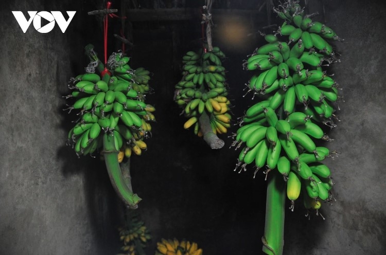 Đặc sản chuối tiến vua "làng Vũ Đại" cháy hàng dịp Tết - Ảnh 7