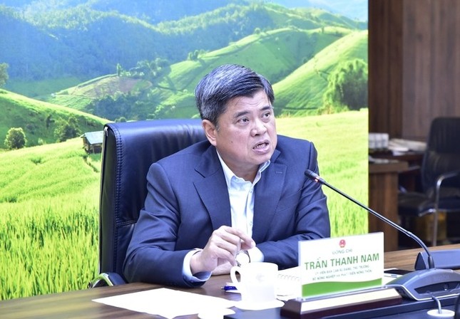 Vụ giá đỗ ‘ngậm’ chất cấm: Thứ trưởng Bộ Nông nghiệp nói thẳng nhiều sự thật - Ảnh 1