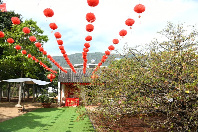 Ngóng cây mai vàng “đẹp nhất Việt Nam" bao năm bung nở đúng Mùng 1 Tết - Ảnh 5