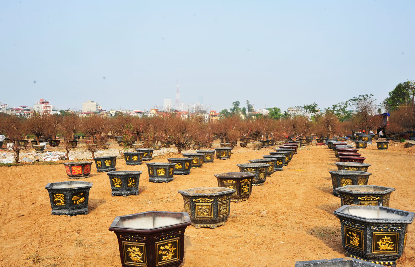 Lo ngại nguồn cung khan hiếm, người dân Hà Nội tranh thủ "đặt cọc" hoa đào ngay từ sớm - Ảnh 7