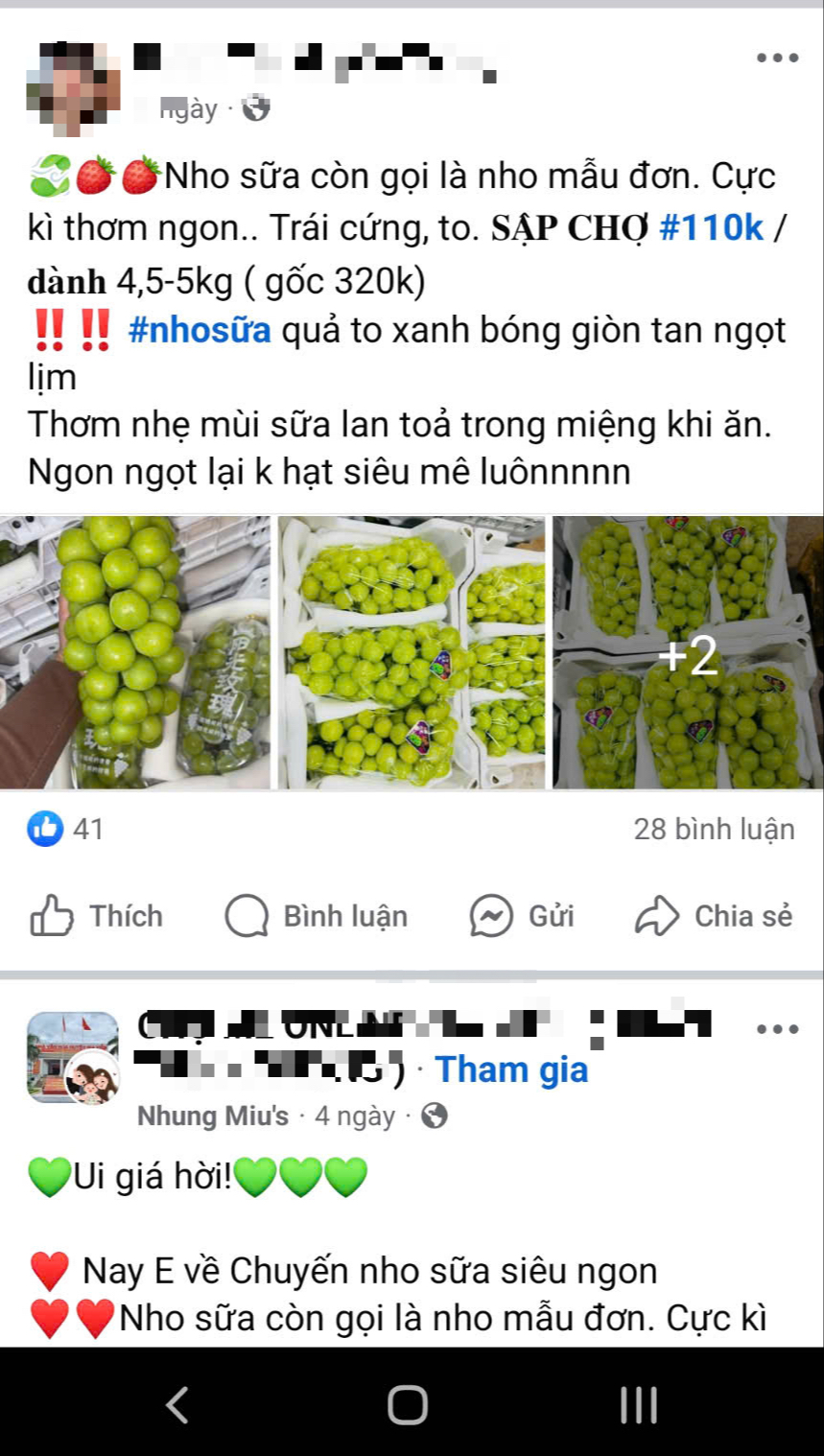 Thận trọng mua nho sữa "quý tộc" với giá siêu rẻ ở chợ Tết online - Ảnh 2