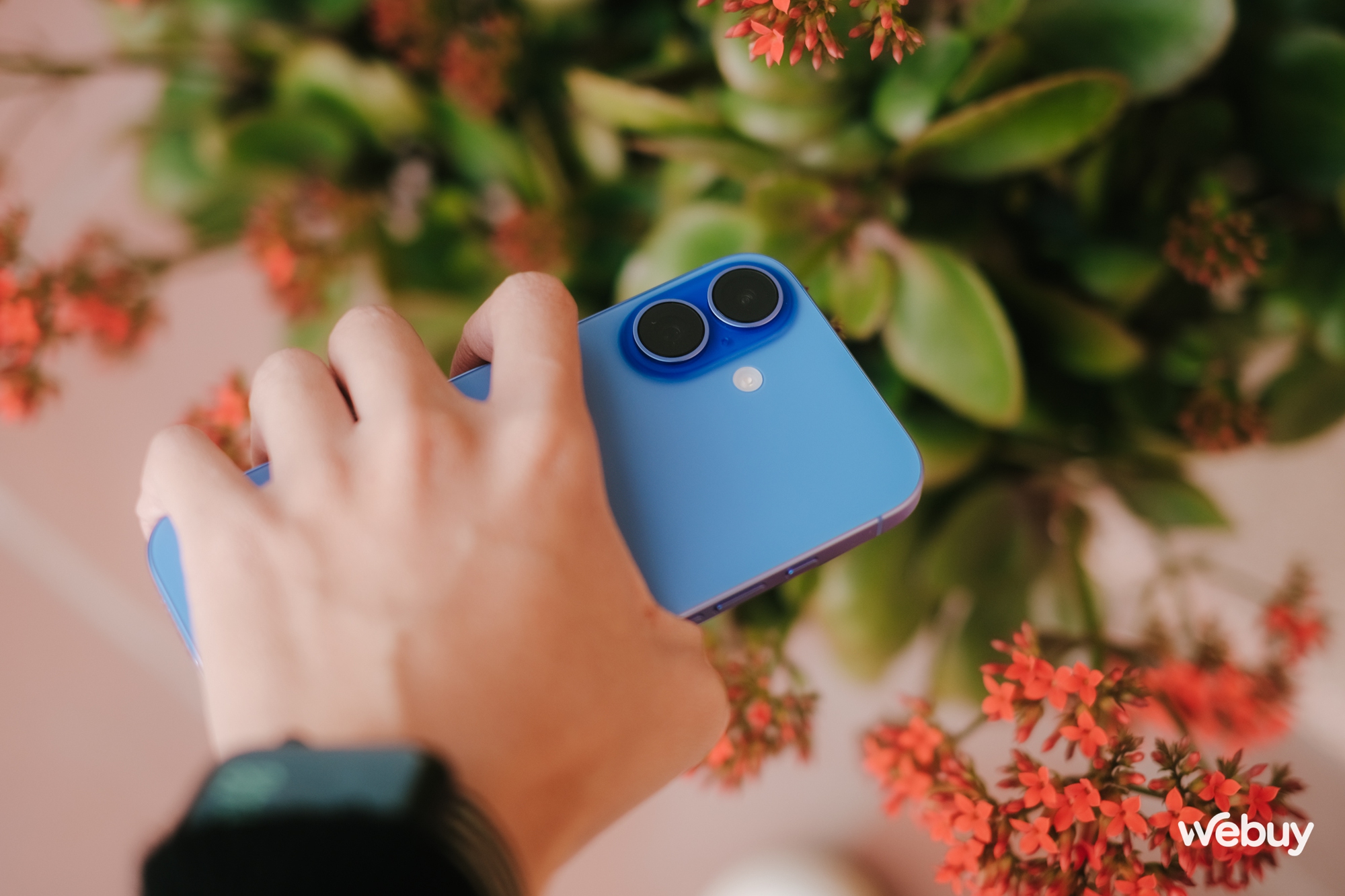 Ba tháng trải nghiệm iPhone 16: Nhỏ gọn, thực dụng và quá "an toàn", có lẽ chỉ Apple mới dám làm điều này! - Ảnh 3