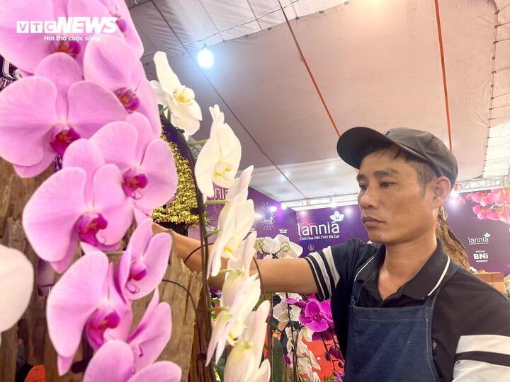 Kiếm hàng trăm triệu đồng/tháng - nghề hốt bạc dịp Tết mỗi năm chỉ có 1 lần - Ảnh 2