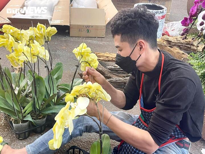 Kiếm hàng trăm triệu đồng/tháng - nghề hốt bạc dịp Tết mỗi năm chỉ có 1 lần - Ảnh 3