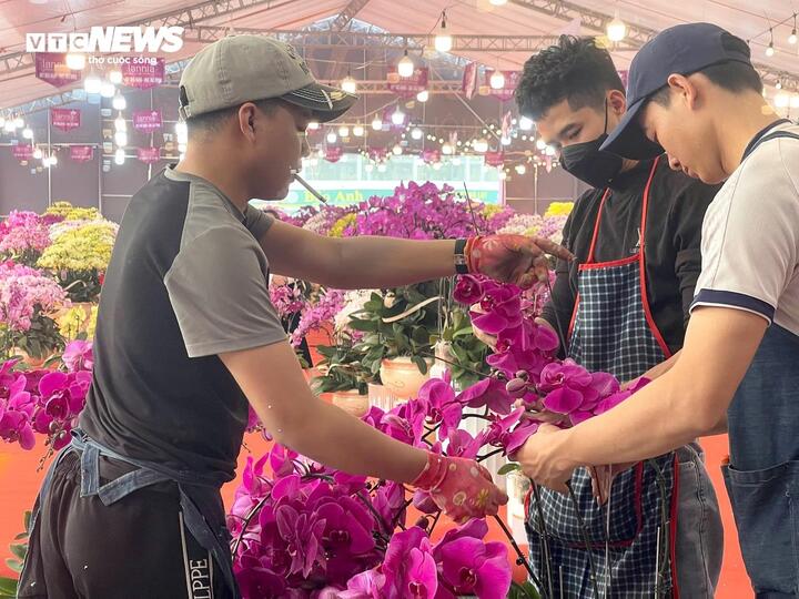 Kiếm hàng trăm triệu đồng/tháng - nghề hốt bạc dịp Tết mỗi năm chỉ có 1 lần - Ảnh 1