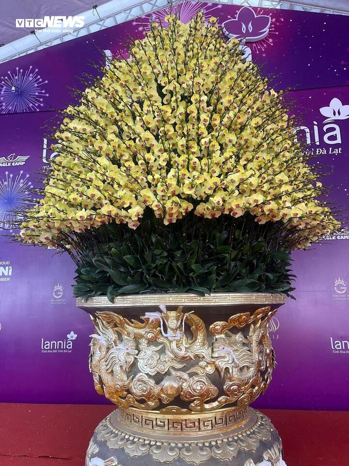 Kiếm hàng trăm triệu đồng/tháng - nghề hốt bạc dịp Tết mỗi năm chỉ có 1 lần - Ảnh 6