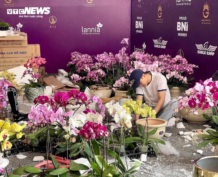 Kiếm hàng trăm triệu đồng/tháng - nghề hốt bạc dịp Tết mỗi năm chỉ có 1 lần - Ảnh 5