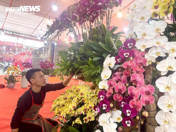 Kiếm hàng trăm triệu đồng/tháng - nghề hốt bạc dịp Tết mỗi năm chỉ có 1 lần - Ảnh 4