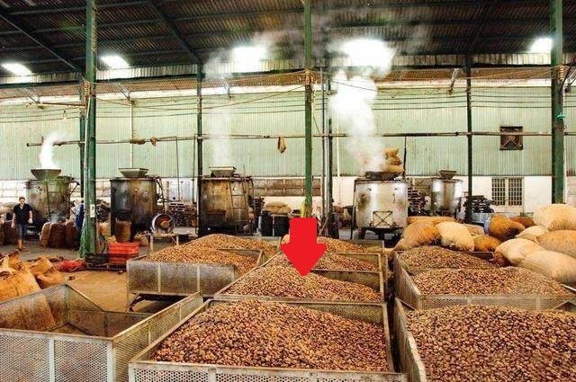 Hàng trăm nghìn tấn sản vật của Việt Nam chinh phục hơn 90 nước, vì sao phải nhập hàng từ Campuchia? - Ảnh 1