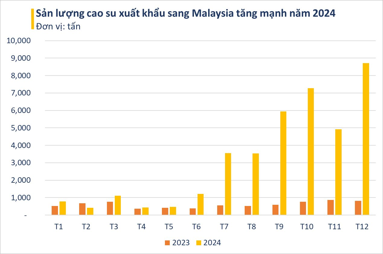 'Cây tỷ đô' của Việt Nam lên cơn sốt khiến cả thế giới săn lùng: giá xuất khẩu tăng cao nhất 10 năm, Malaysia tăng mua hơn 500% - Ảnh 3