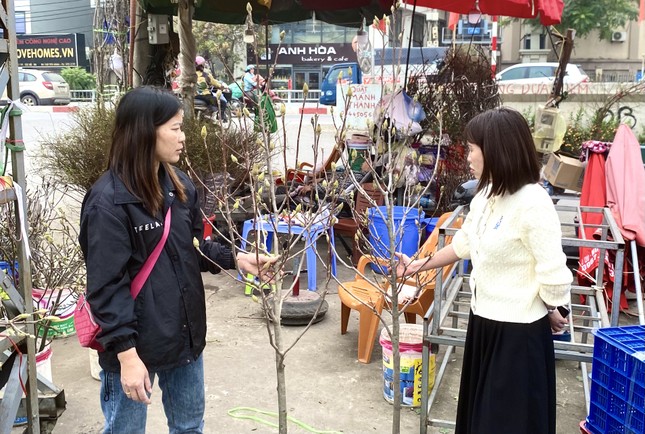 Xuất hiện loài hoa 'cạnh tranh' với đào, quất Tết năm nay - Ảnh 5