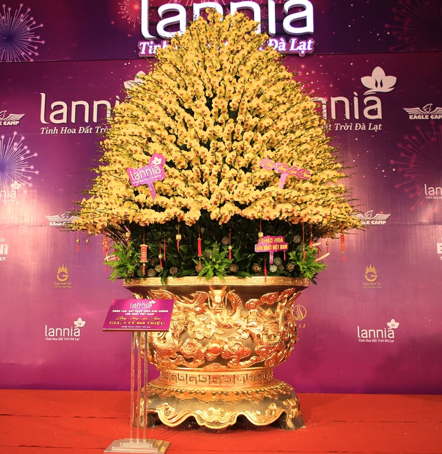 Cận cảnh chậu lan được rao bán gần 4 tỷ đồng dịp gần Tết ở Hà Nội - Ảnh 14