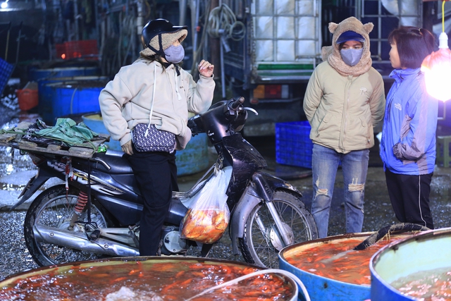 Khu chợ nổi tiếng Hà Nội dịp ông Công ông Táo nhộn nhịp xuyên đêm, nhiều người “cân đo đong đếm” lượng mua vì 1 điều - Ảnh 4