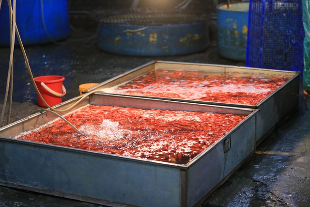 Khu chợ nổi tiếng Hà Nội dịp ông Công ông Táo nhộn nhịp xuyên đêm, nhiều người “cân đo đong đếm” lượng mua vì 1 điều - Ảnh 3