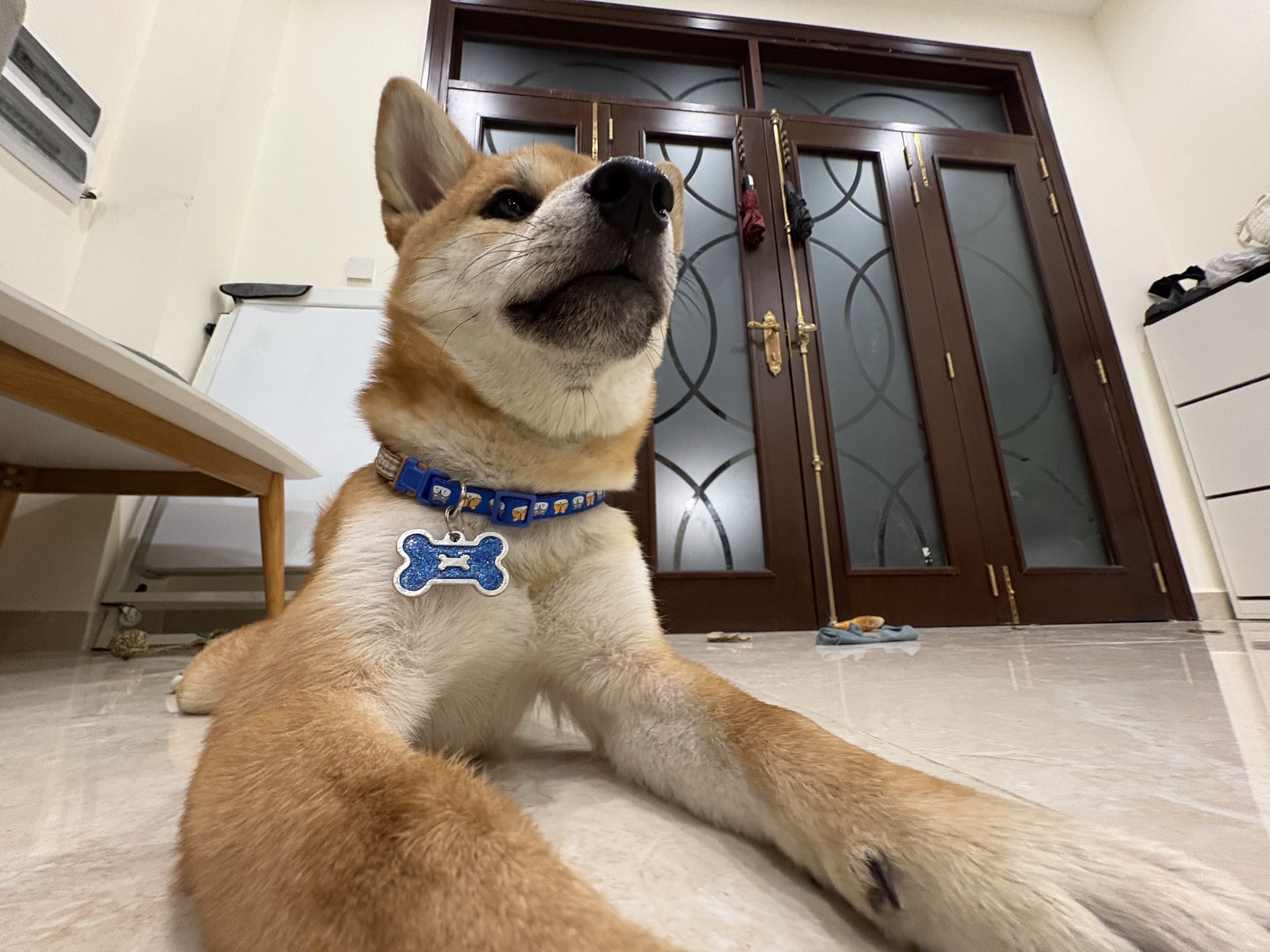 Ba tháng trải nghiệm iPhone 16: Nhỏ gọn, thực dụng và quá "an toàn", có lẽ chỉ Apple mới dám làm điều này! - Ảnh 23