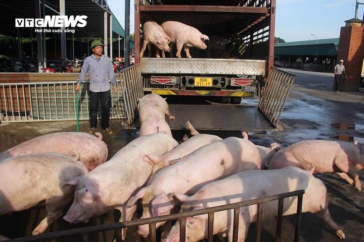 Giá thực phẩm ‘nhảy múa’, người tiêu dùng giật mình, tiểu thương lo lắng - Ảnh 1