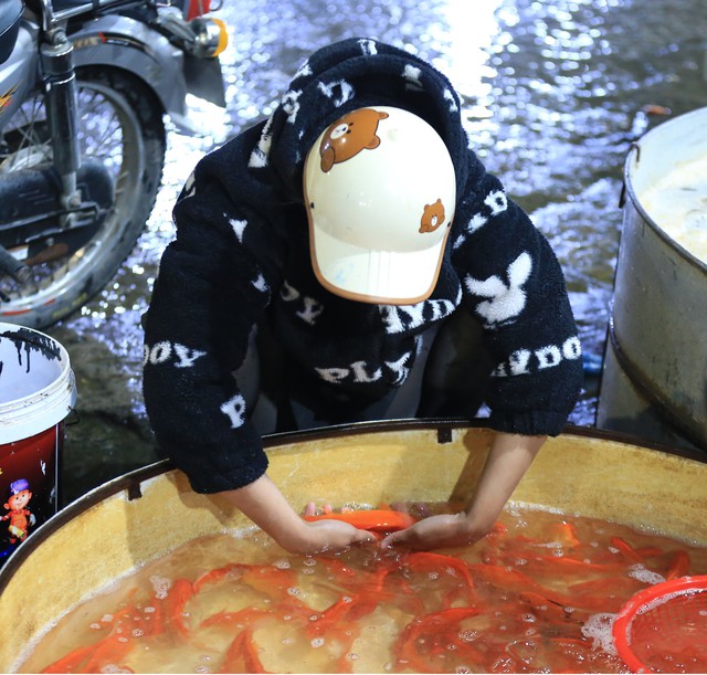 Khu chợ nổi tiếng Hà Nội dịp ông Công ông Táo nhộn nhịp xuyên đêm, nhiều người “cân đo đong đếm” lượng mua vì 1 điều - Ảnh 13