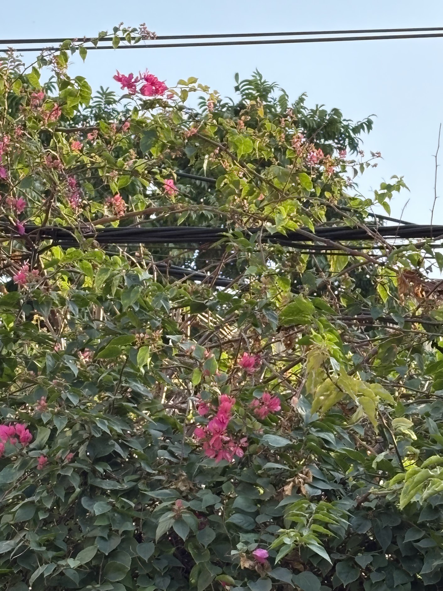 Ba tháng trải nghiệm iPhone 16: Nhỏ gọn, thực dụng và quá "an toàn", có lẽ chỉ Apple mới dám làm điều này! - Ảnh 34