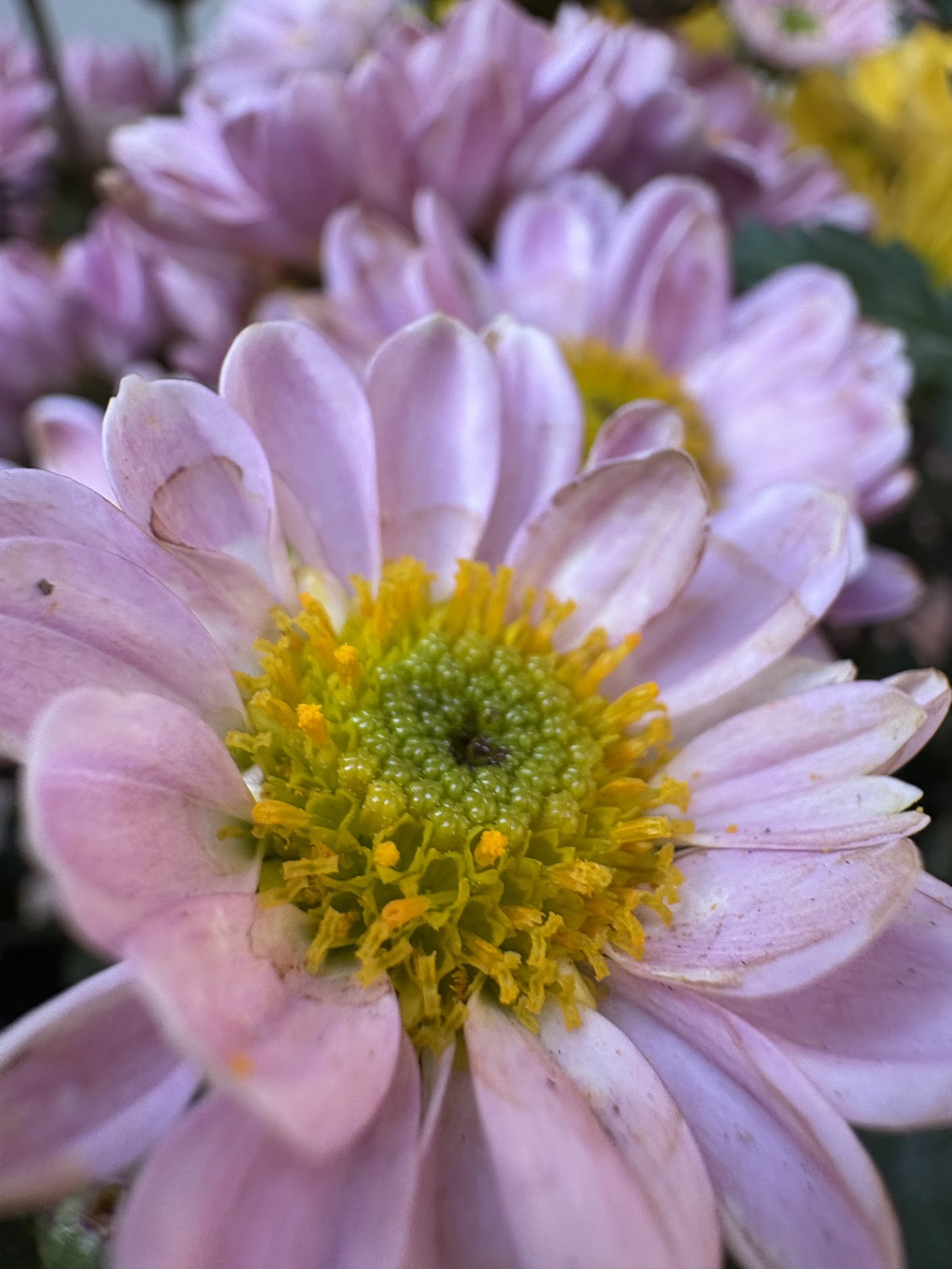 Ba tháng trải nghiệm iPhone 16: Nhỏ gọn, thực dụng và quá "an toàn", có lẽ chỉ Apple mới dám làm điều này! - Ảnh 36