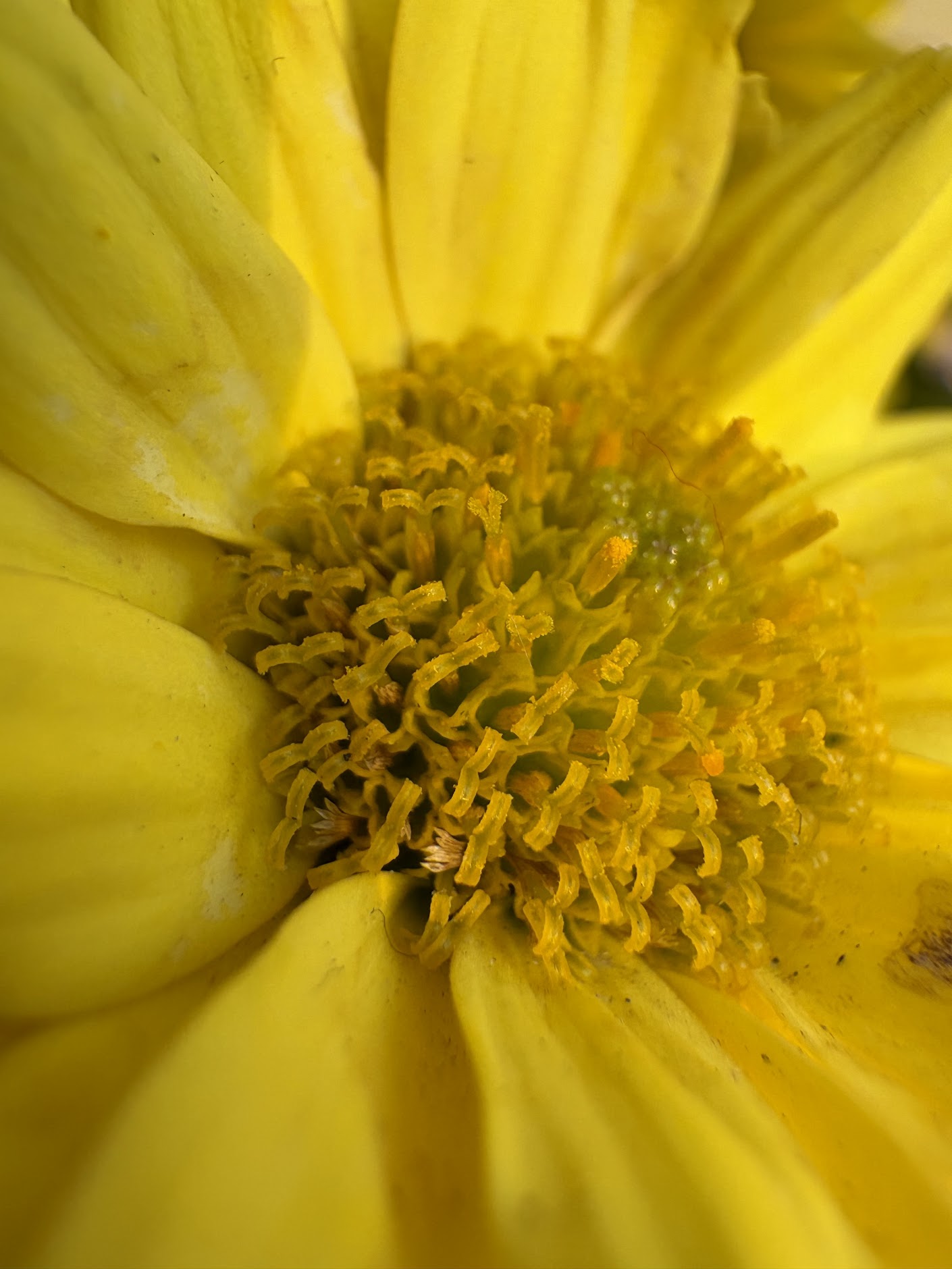 Ba tháng trải nghiệm iPhone 16: Nhỏ gọn, thực dụng và quá "an toàn", có lẽ chỉ Apple mới dám làm điều này! - Ảnh 38