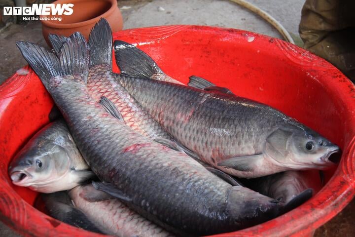 Hàng triệu đồng một niêu cá kho, khách vẫn ùn ùn chốt đơn - Ảnh 4