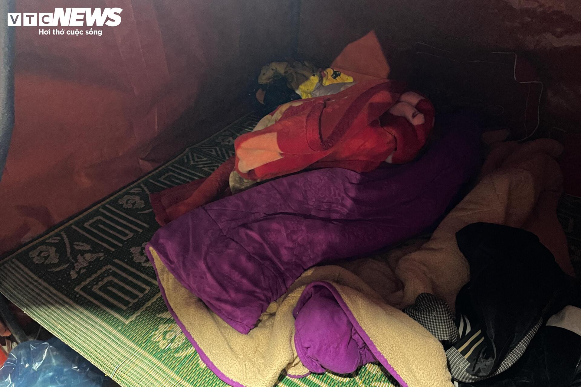 Thâu đêm trông đào quất Tết, tiểu thương gồng mình chịu giá rét - Ảnh 9