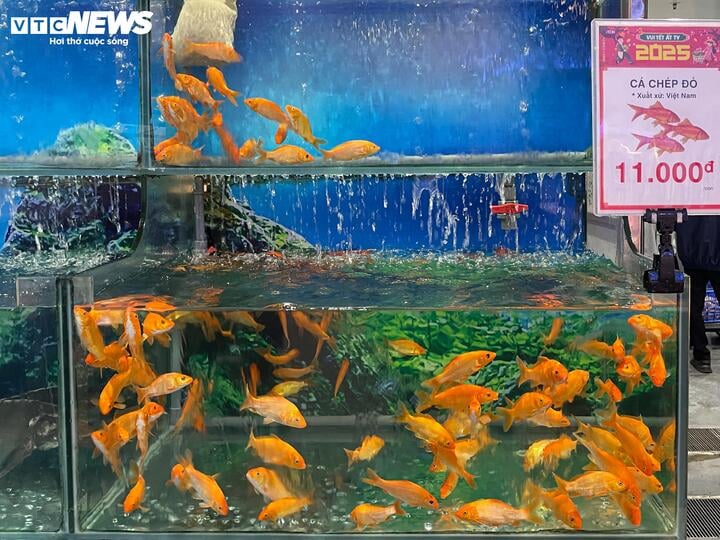 Thị trường trầm lắng trước ngày ông Công ông Táo lên 'chầu trời' - Ảnh 5