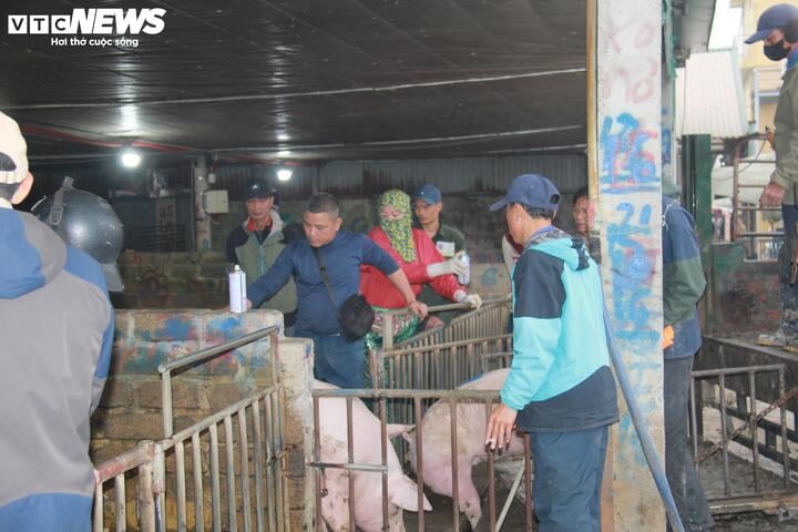 Giá heo hơi ngày Tết đắt đỏ, thương lái tranh mua suốt đêm - Ảnh 6