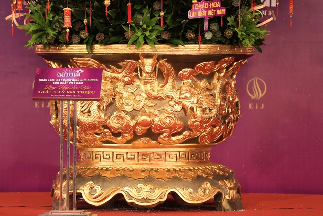 Cận cảnh chậu lan được rao bán gần 4 tỷ đồng dịp gần Tết ở Hà Nội - Ảnh 15