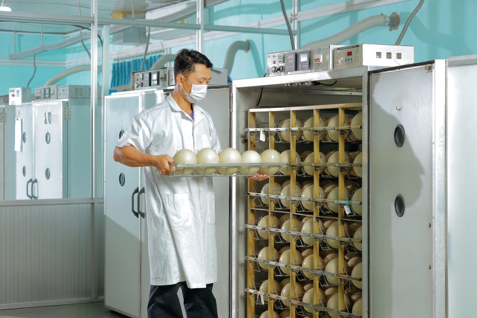 ‘Đột nhập’ trang trại đà điểu lớn nhất Việt Nam - Ảnh 5