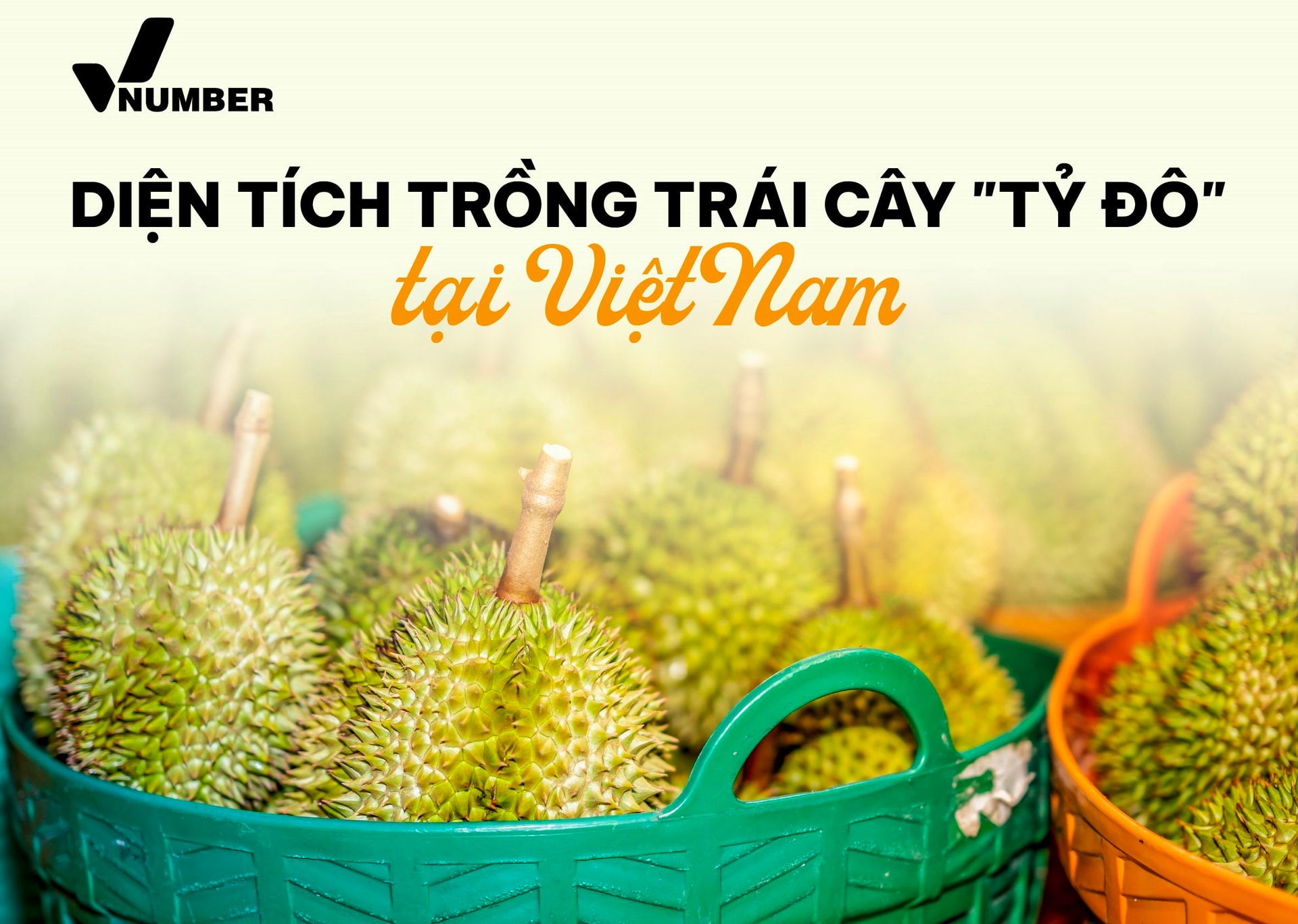 Bản đồ tỷ đô: Loại sản vật trời ban cho riêng Đông Nam Á giúp Việt Nam thu 3,3 tỷ USD, tỉnh nào đang là ‘thủ phủ’? - Ảnh 1