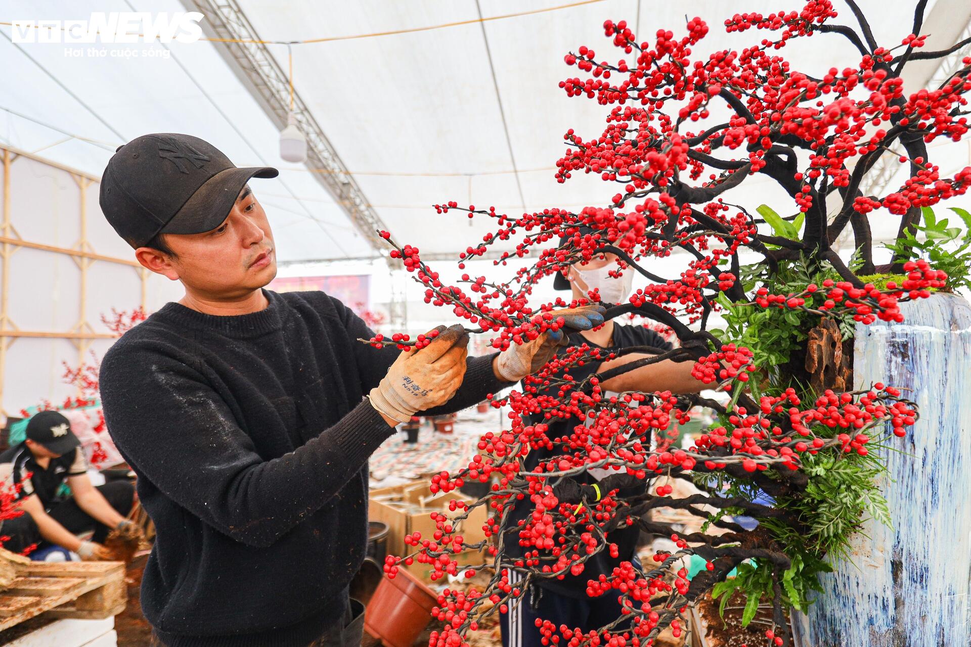 Hoa nhập độc lạ giá trăm triệu đồng, thú chơi Tết mới của nhà giàu Hà Nội - Ảnh 13