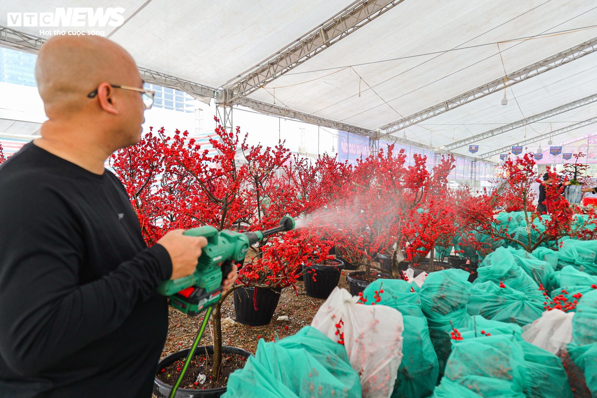 Hoa nhập độc lạ giá trăm triệu đồng, thú chơi Tết mới của nhà giàu Hà Nội - Ảnh 15