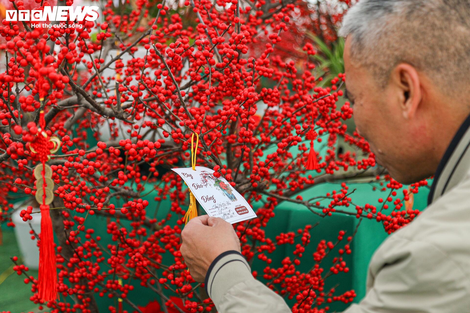 Hoa nhập độc lạ giá trăm triệu đồng, thú chơi Tết mới của nhà giàu Hà Nội - Ảnh 20