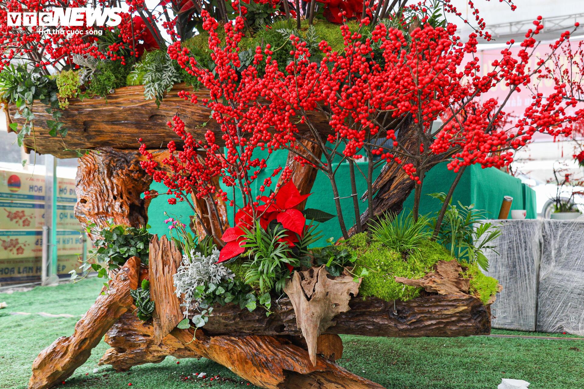 Hoa nhập độc lạ giá trăm triệu đồng, thú chơi Tết mới của nhà giàu Hà Nội - Ảnh 9