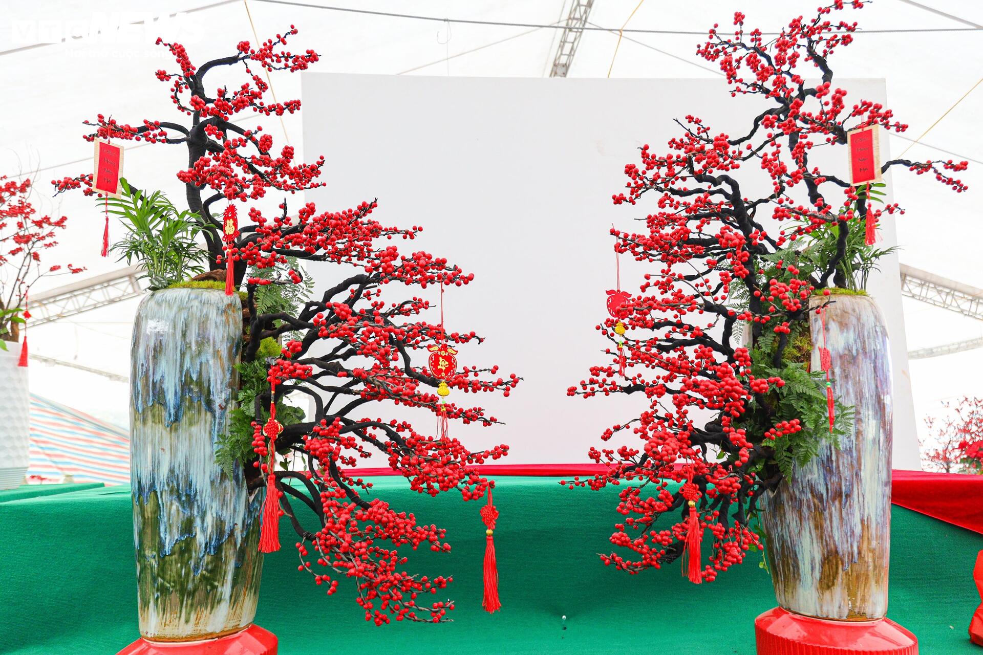 Hoa nhập độc lạ giá trăm triệu đồng, thú chơi Tết mới của nhà giàu Hà Nội - Ảnh 3