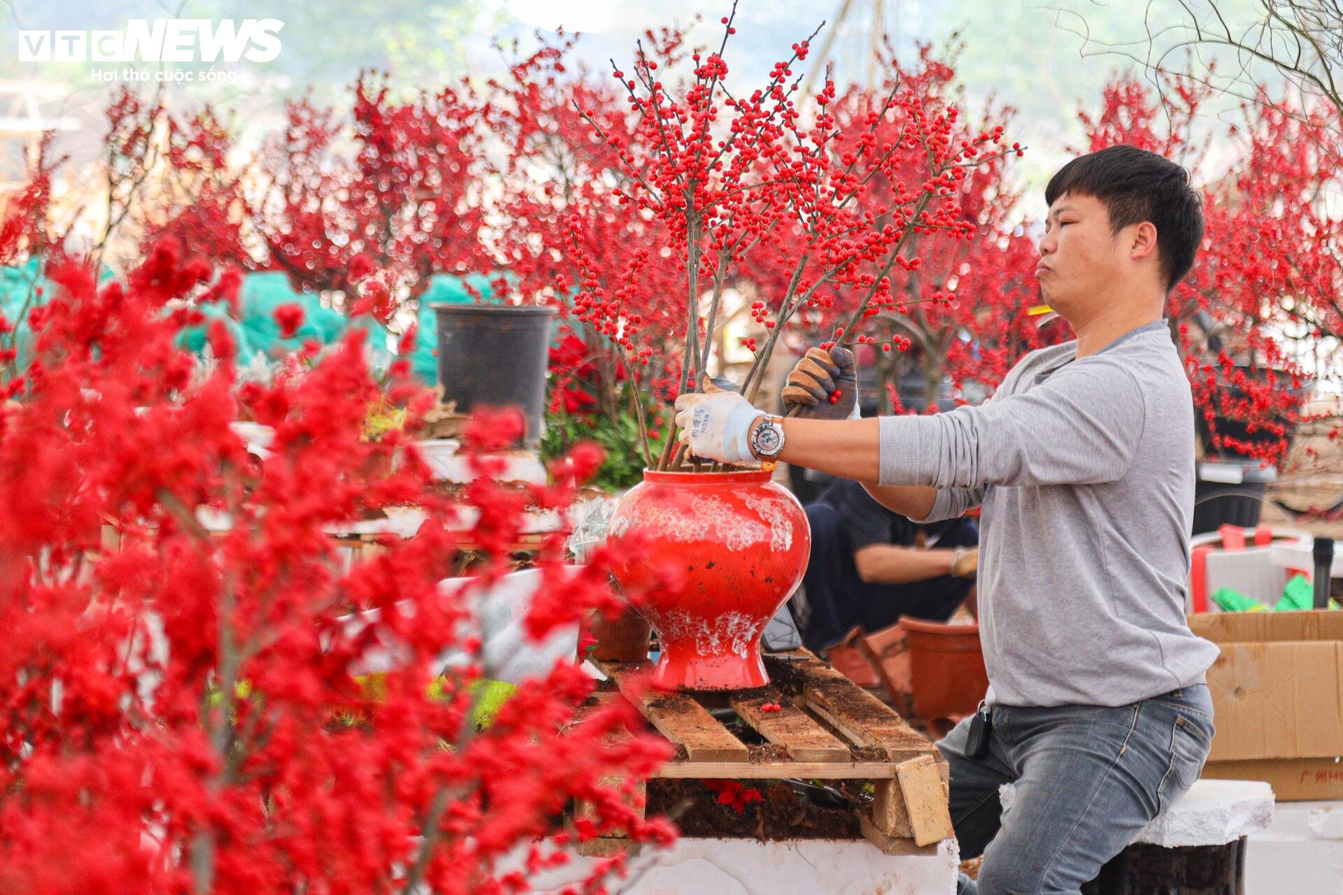Hoa nhập độc lạ giá trăm triệu đồng, thú chơi Tết mới của nhà giàu Hà Nội - Ảnh 14