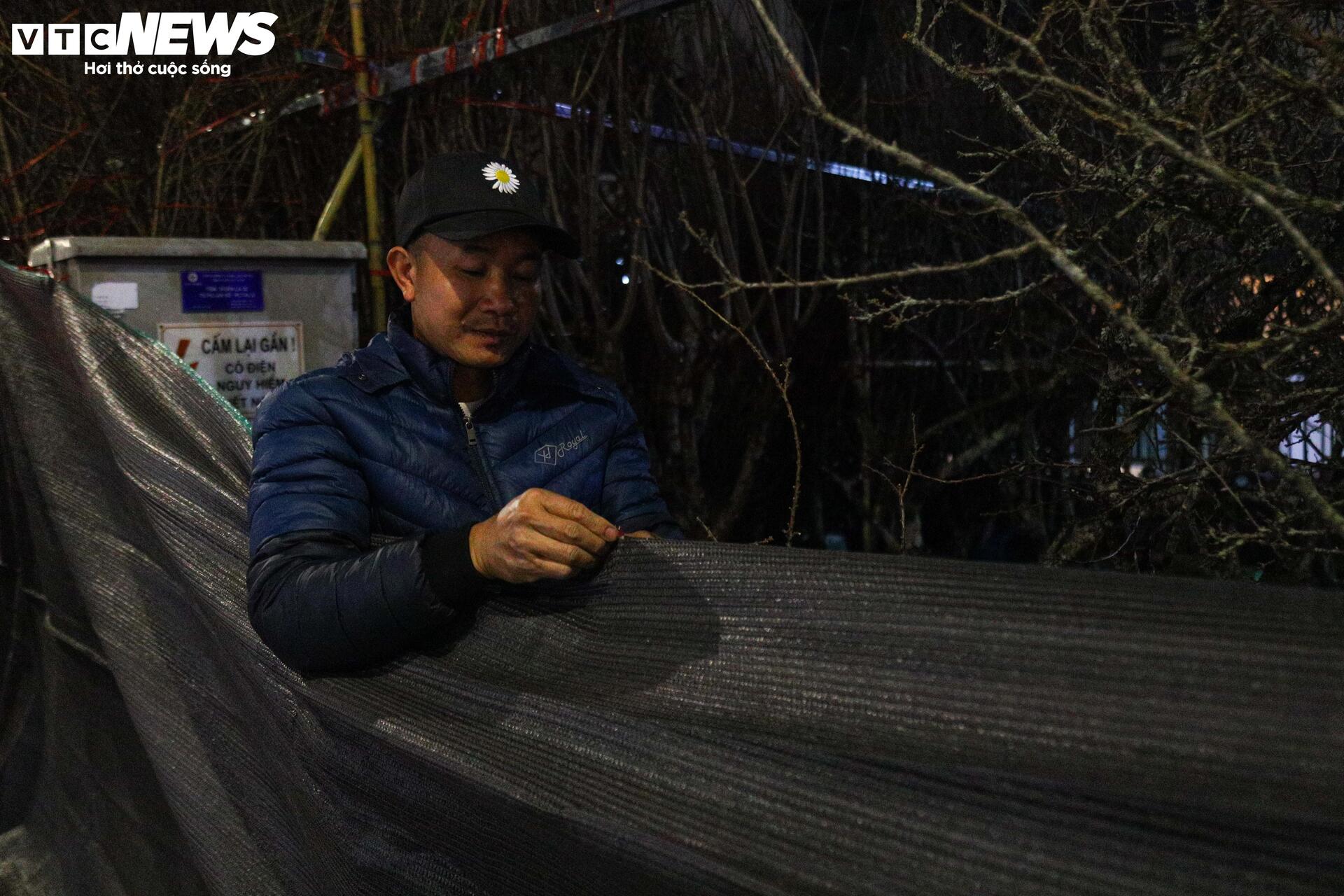 Thâu đêm trông đào quất Tết, tiểu thương gồng mình chịu giá rét - Ảnh 5