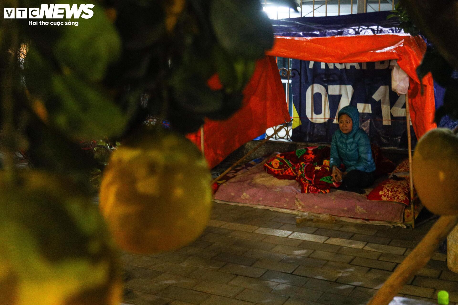 Thâu đêm trông đào quất Tết, tiểu thương gồng mình chịu giá rét - Ảnh 3