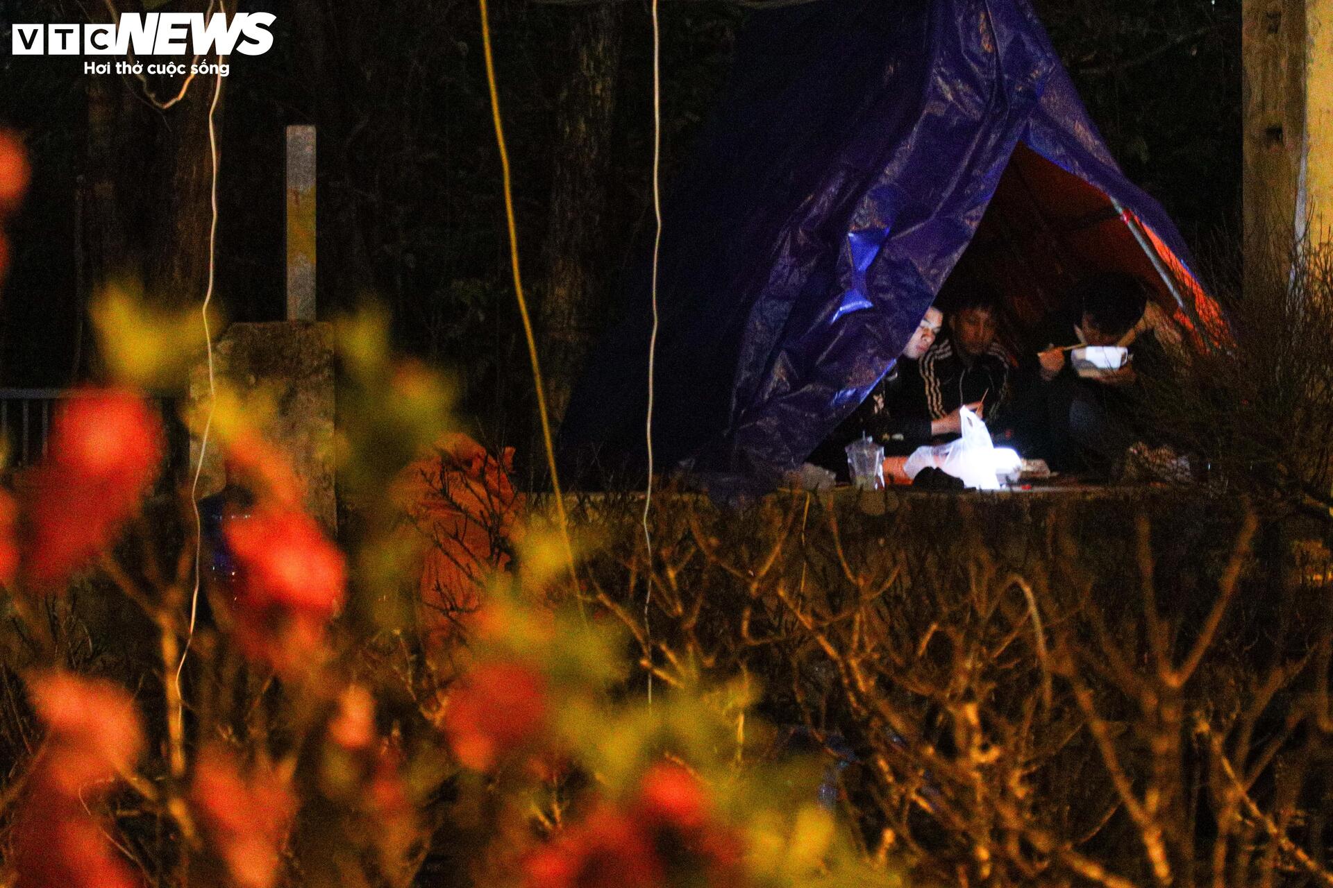 Thâu đêm trông đào quất Tết, tiểu thương gồng mình chịu giá rét - Ảnh 15