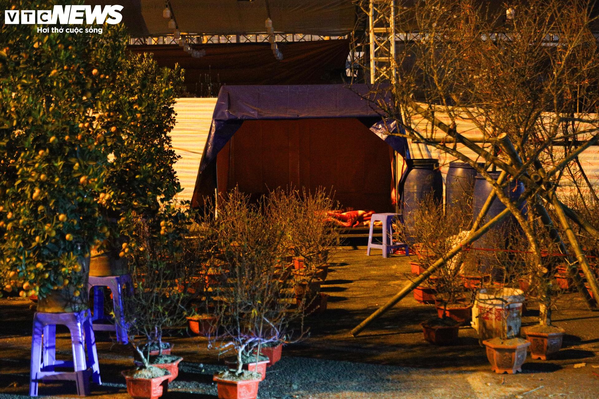 Thâu đêm trông đào quất Tết, tiểu thương gồng mình chịu giá rét - Ảnh 13