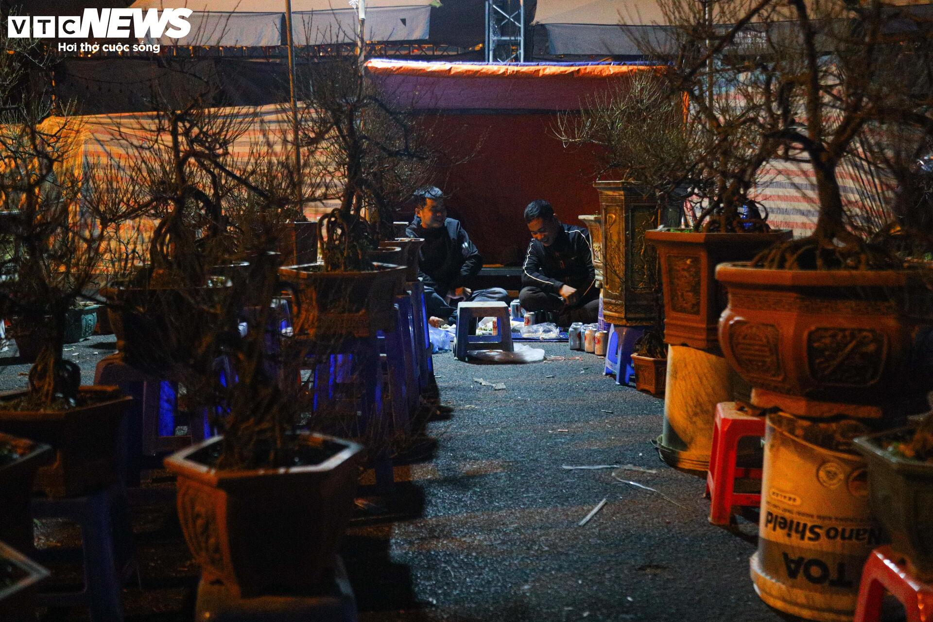 Thâu đêm trông đào quất Tết, tiểu thương gồng mình chịu giá rét - Ảnh 14