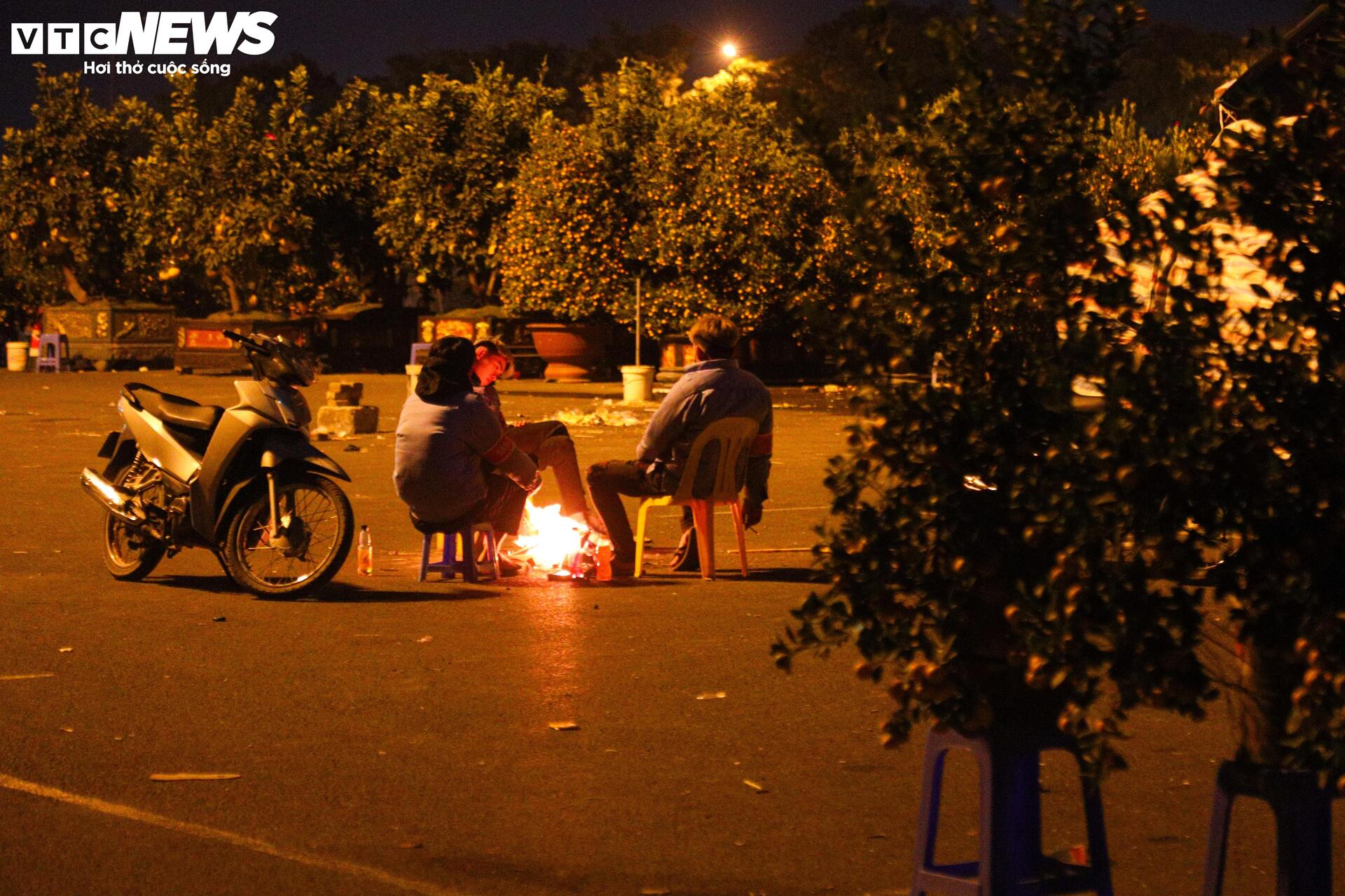 Thâu đêm trông đào quất Tết, tiểu thương gồng mình chịu giá rét - Ảnh 17