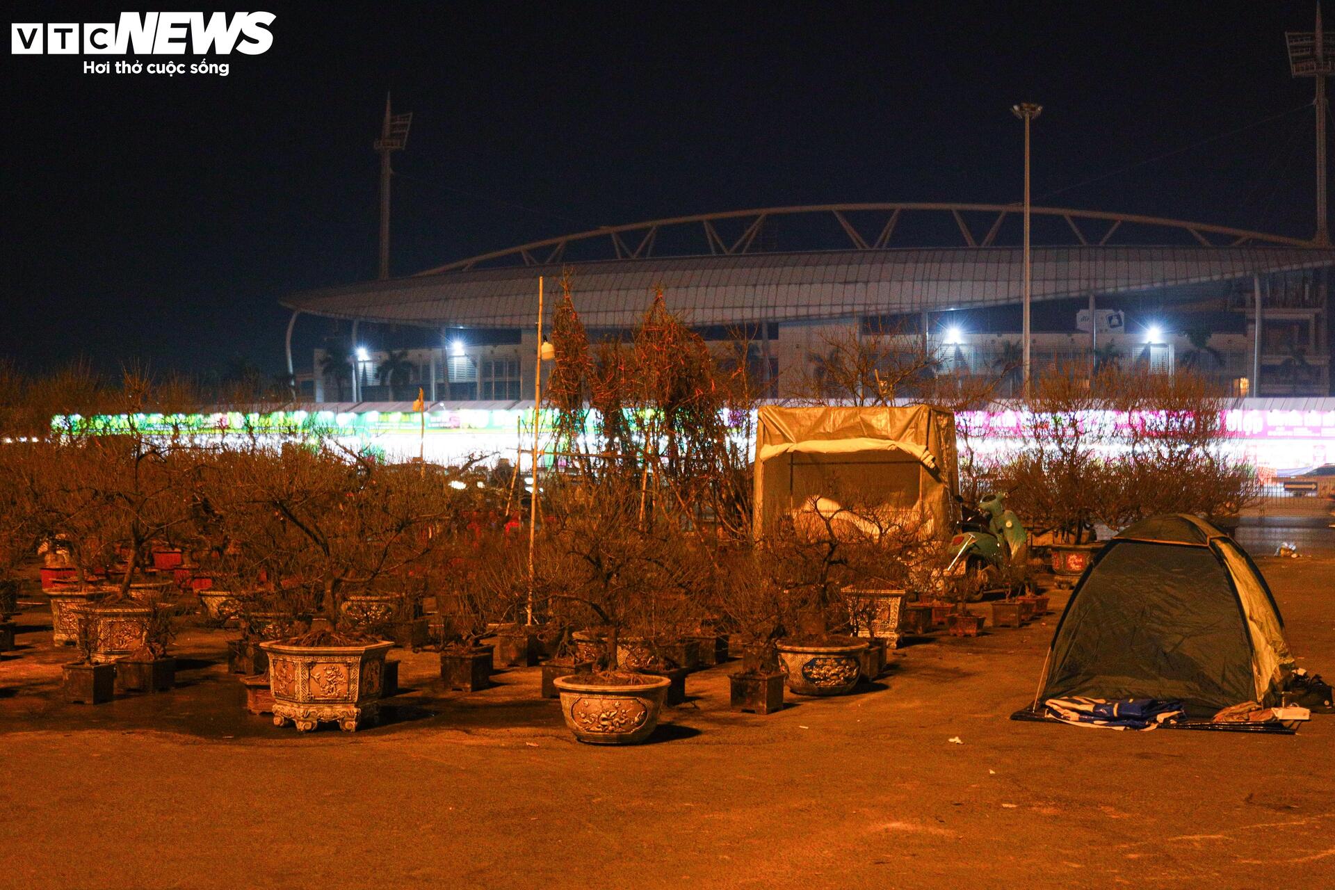 Thâu đêm trông đào quất Tết, tiểu thương gồng mình chịu giá rét - Ảnh 12
